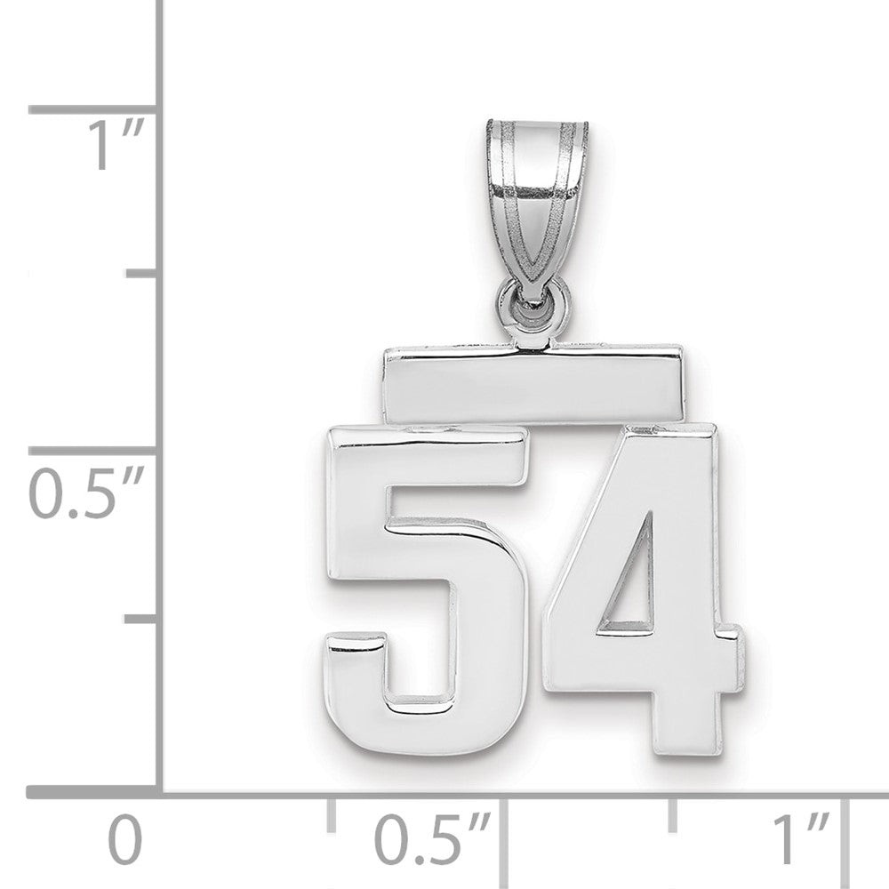 14k Weißgold kleiner polierter Charm „Zahl 54“