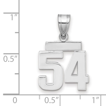 14k Weißgold kleiner polierter Charm „Zahl 54“