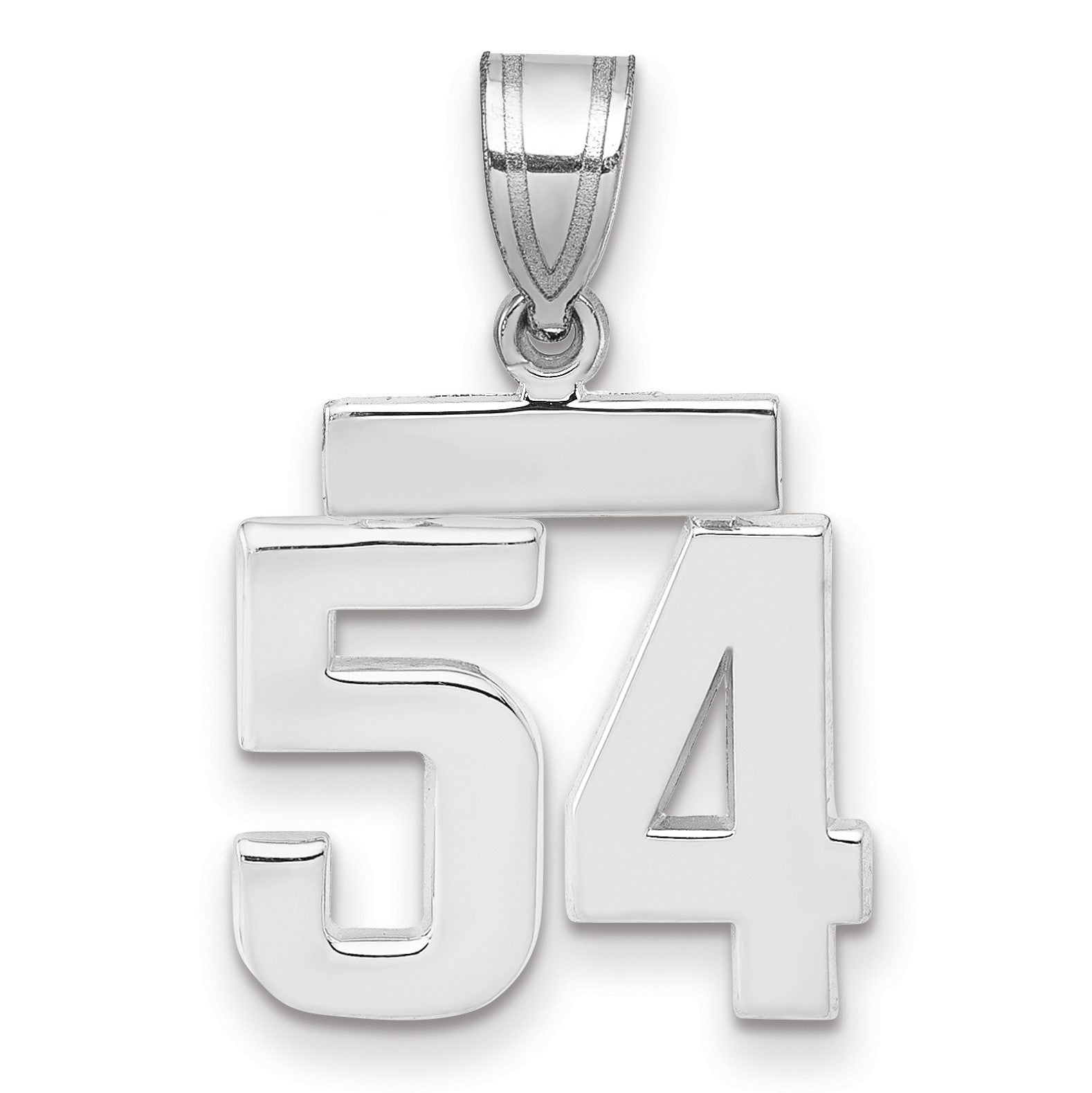 14k Weißgold kleiner polierter Charm „Zahl 54“