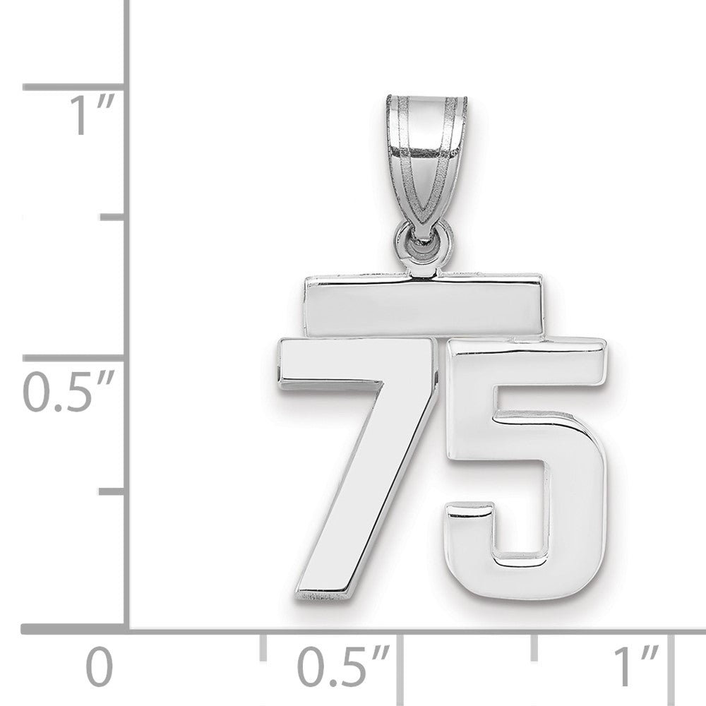 14K Weißgold kleiner polierter Zahl-75-Charm