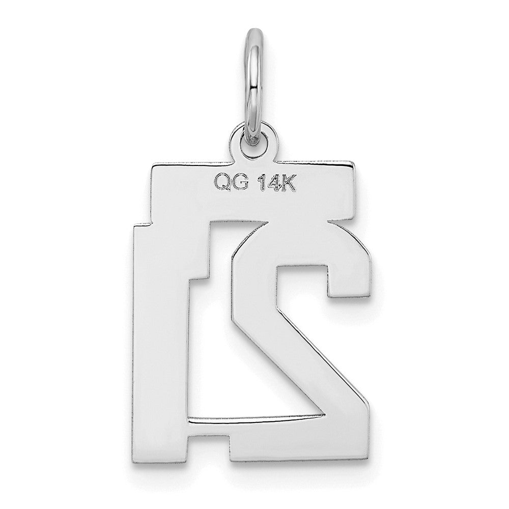14K Weißgold kleiner satinierter Charm „Zahl 21“