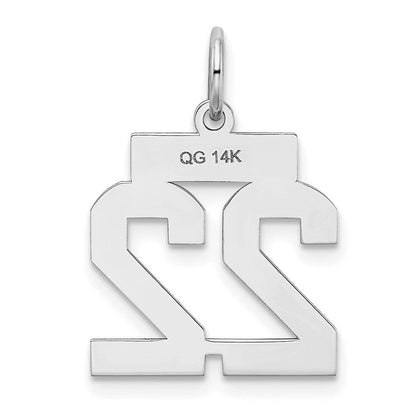 14K Weißgold kleiner satinierter Charm „Zahl 22