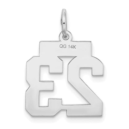 14K Weißgold kleiner satinierter Charm Zahl 23