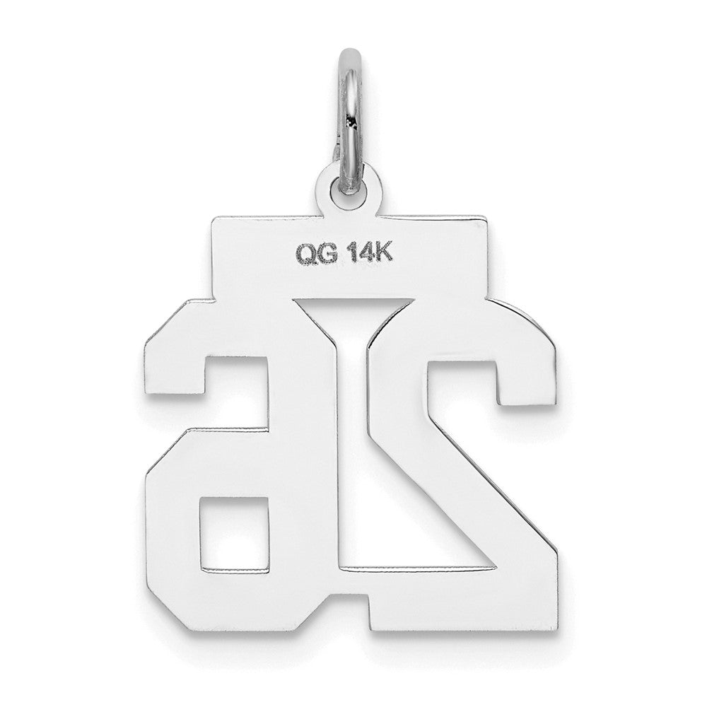 14K Weißgold kleiner satinierter Charm „Zahl 26“