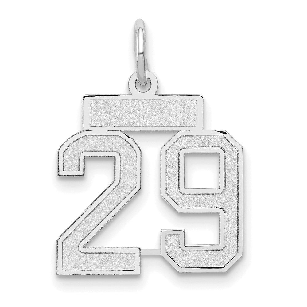 14K Weißgold Kleiner Charm mit Satinfinish „Zahl 29“