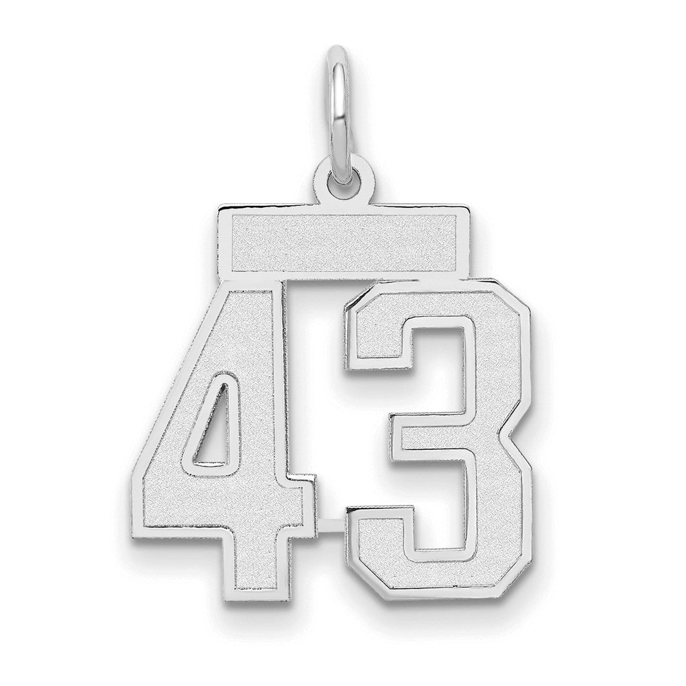 14K Weißgold kleiner satinierter Charm „Zahl 43“