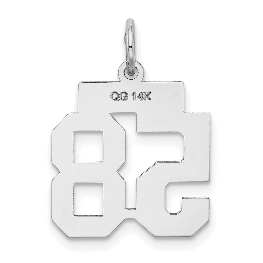 14K Weißgold kleiner satinierter Charm „Zahl 58“