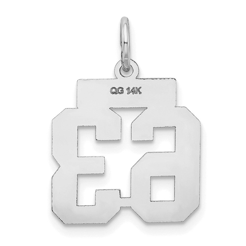 14K Weißgold Kleiner Satin-Charm „Zahl 63“