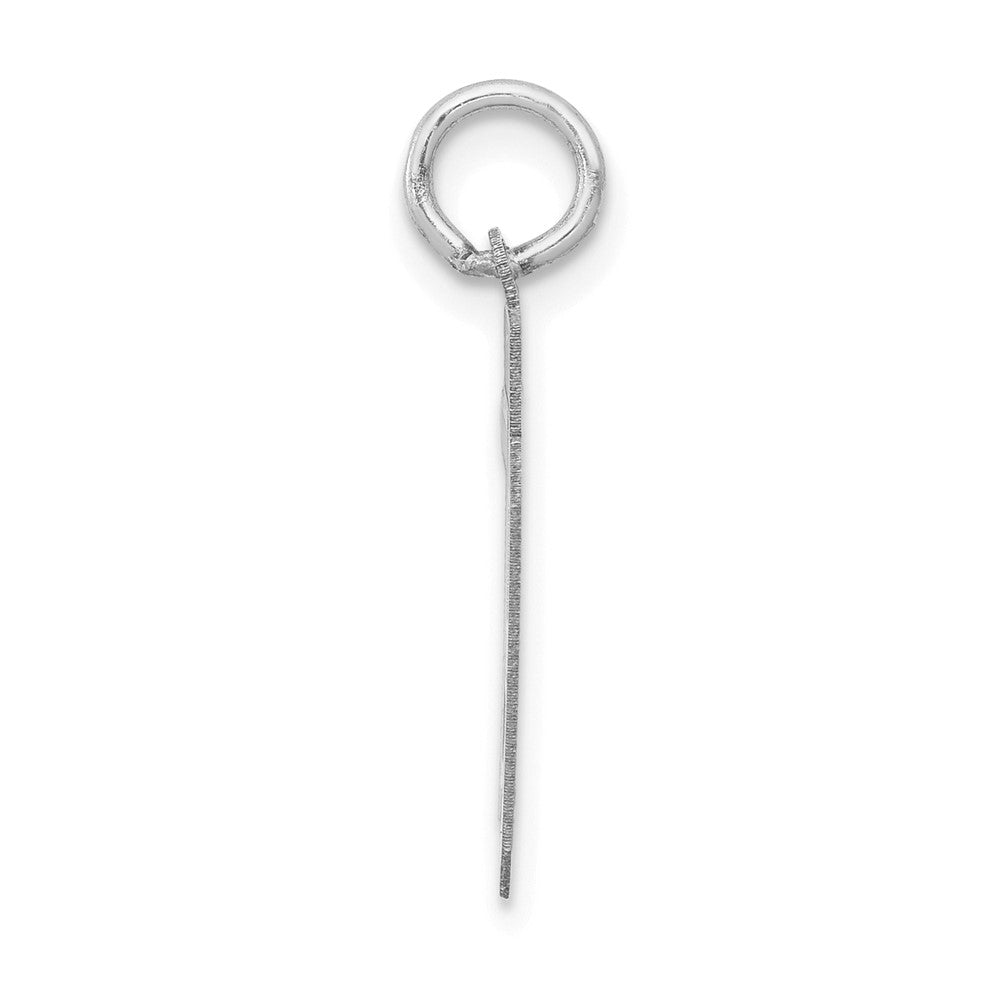 14K Weißgold kleiner Zahl-79-Charm mit Satinfinish