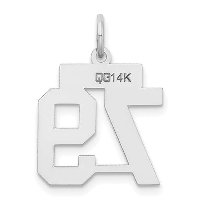14K Weißgold kleiner Zahl-79-Charm mit Satinfinish