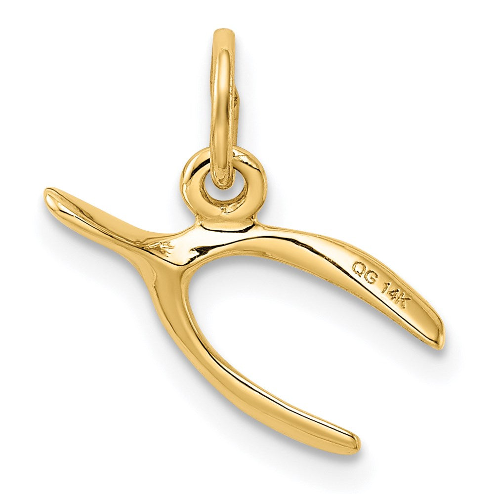 14K Gelbgold 14K Gabelbein Charm