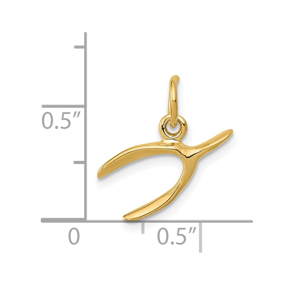 14K Gelbgold 14K Gabelbein Charm