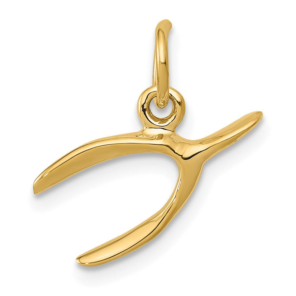 14K Gelbgold 14K Gabelbein Charm