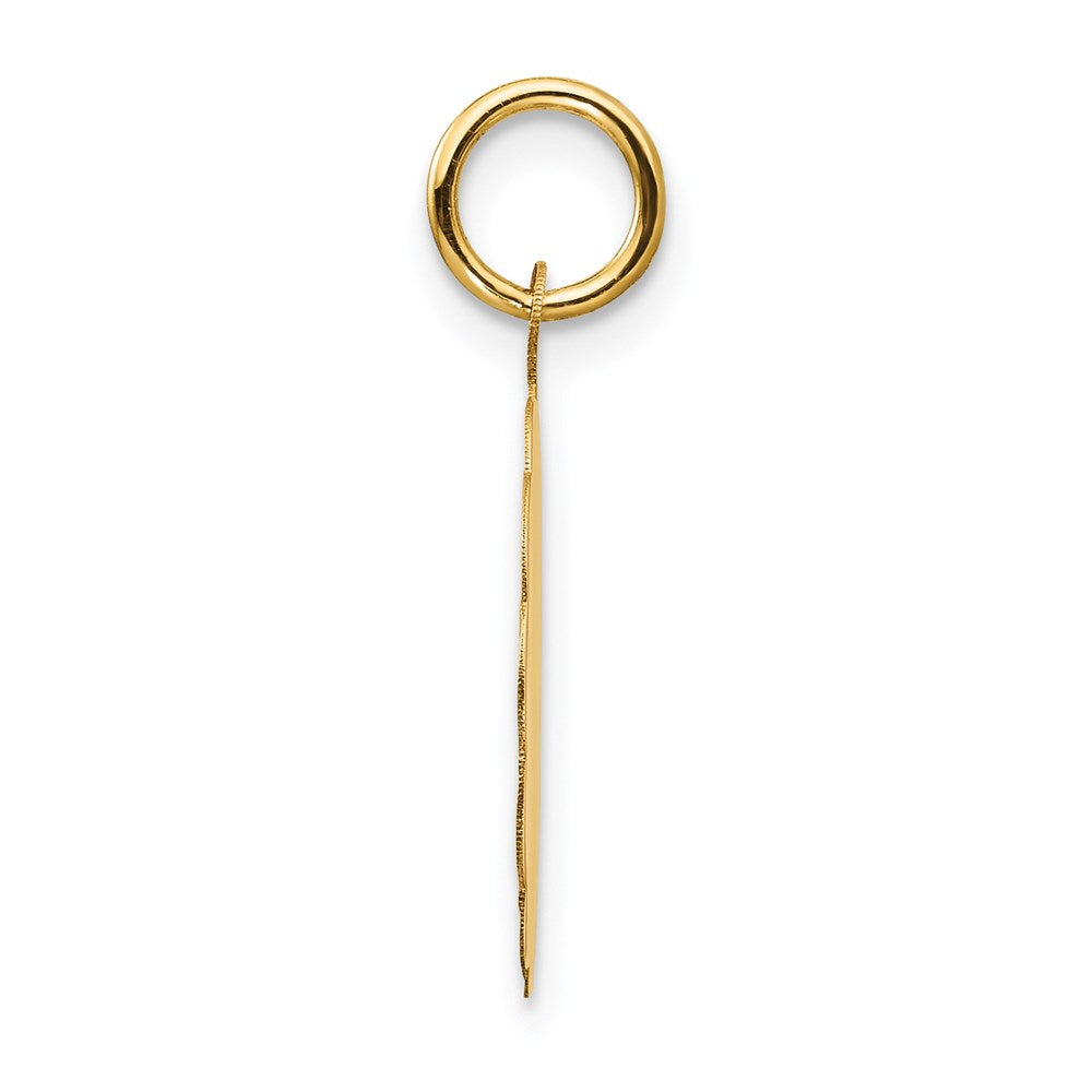 14K Gelbgold 14K Abschluss Day Charm