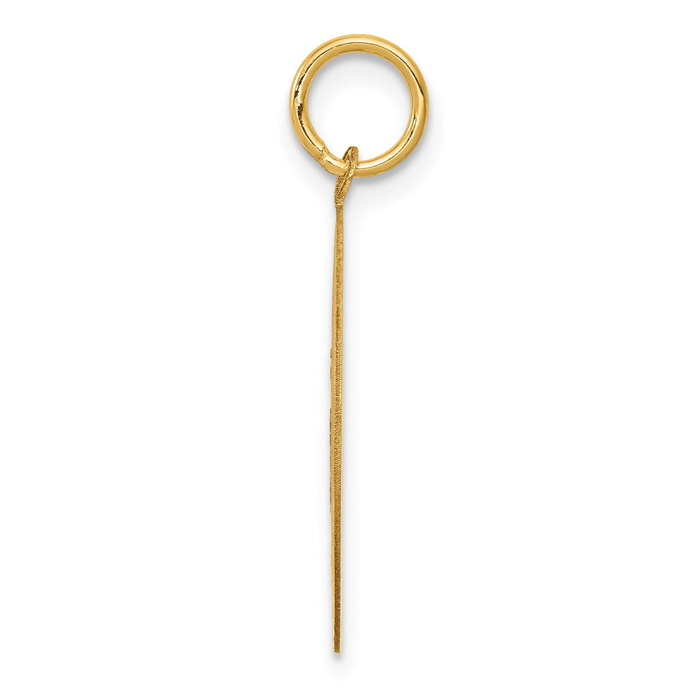 14K Gelbgold Beagle-Scheiben-Charm