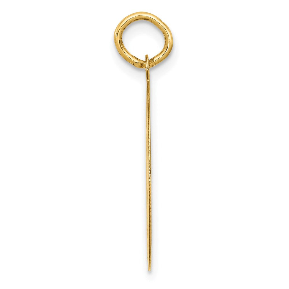14K Gelbgold Dackel-Scheiben-Charm