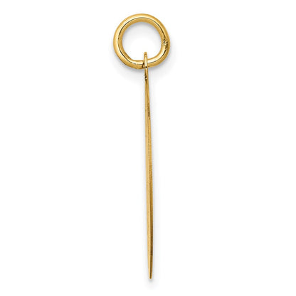 14K Gelbgold Pudel-Scheiben-Charm
