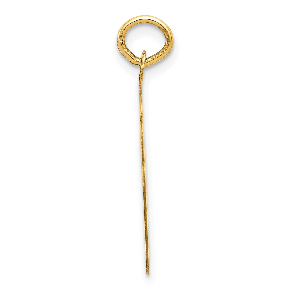 14K Gelbgold Schwimmscheibe-Charm