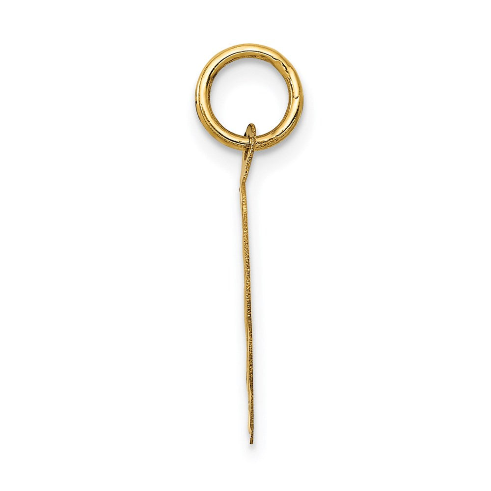 14K Gelbgold Poliert It A Junge Gewellt Plättchen Charm