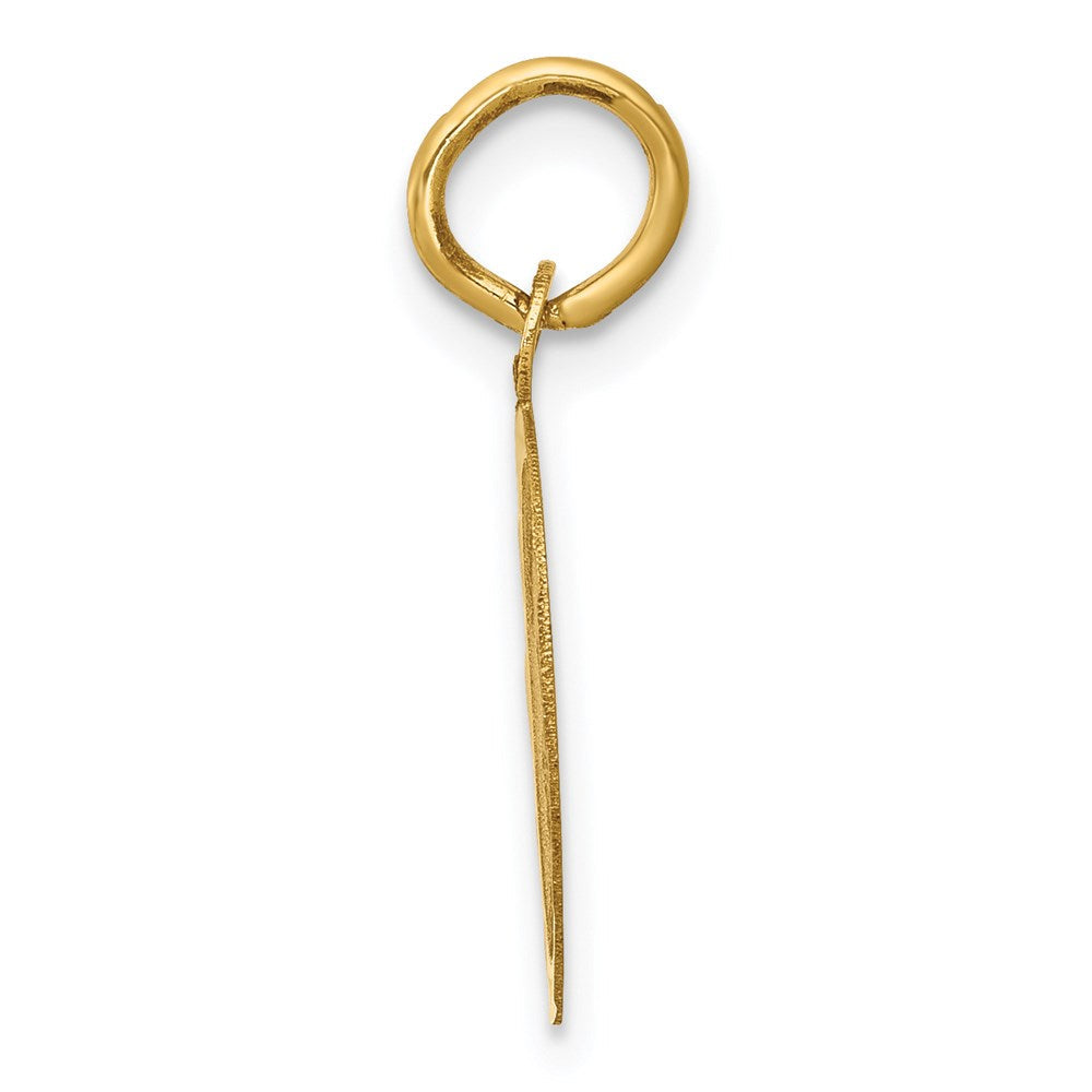 14K Gelbgold 14K Abschluss Day Charm