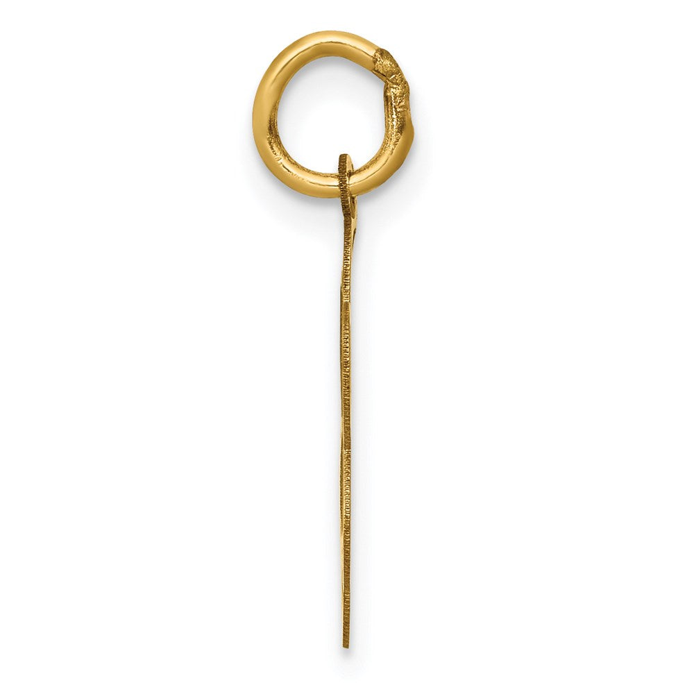 14K Gelbgold 14K Abschluss Day Charm