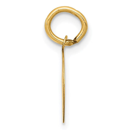 14K Gelbgold 14K Heilig Kommunion Charm