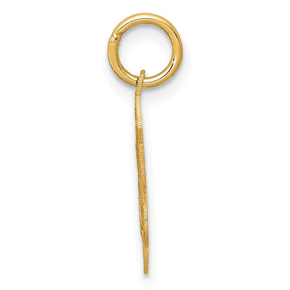 14K Gelbgold 14K Heilig Kommunion Charm