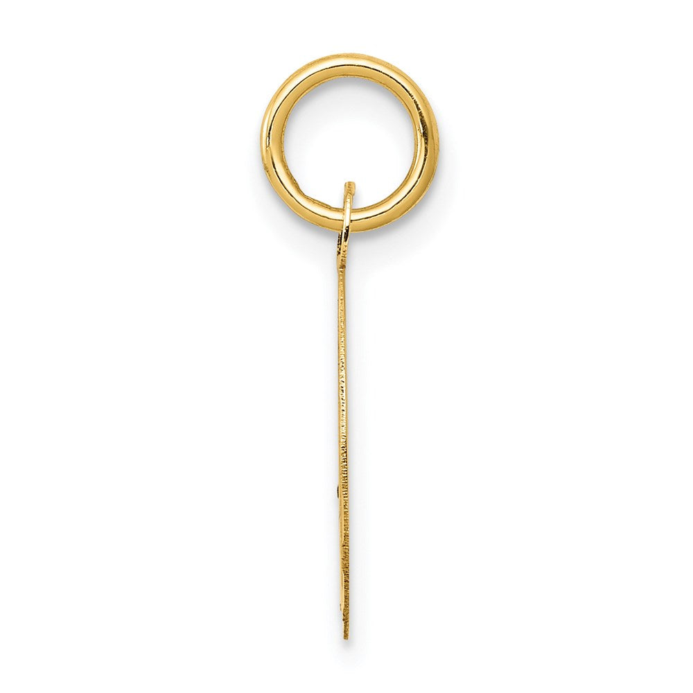 14K Gelbgold 14K Süß 16 Plättchen Charm
