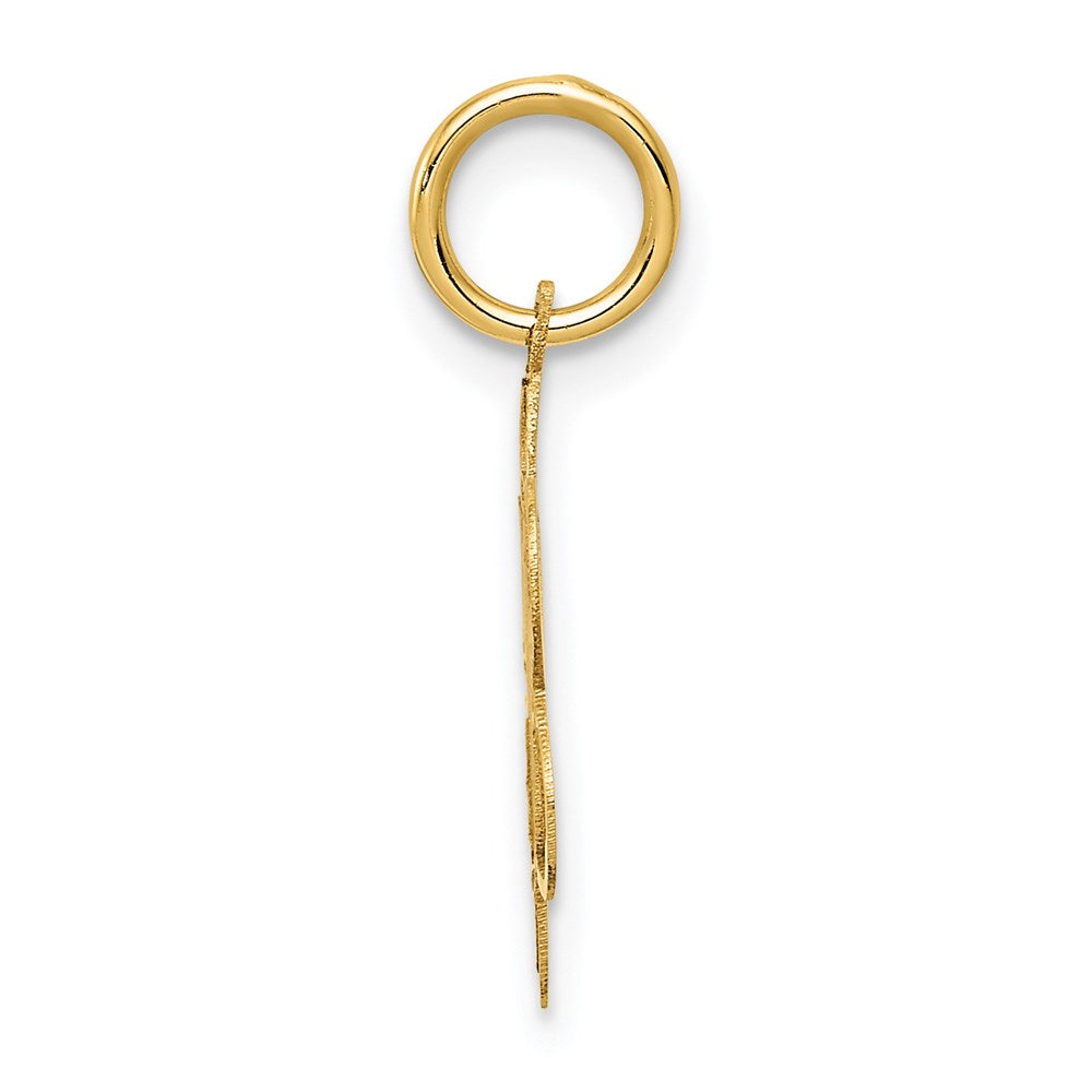 14K Gelbgold 14K Süß 16 Plättchen Charm
