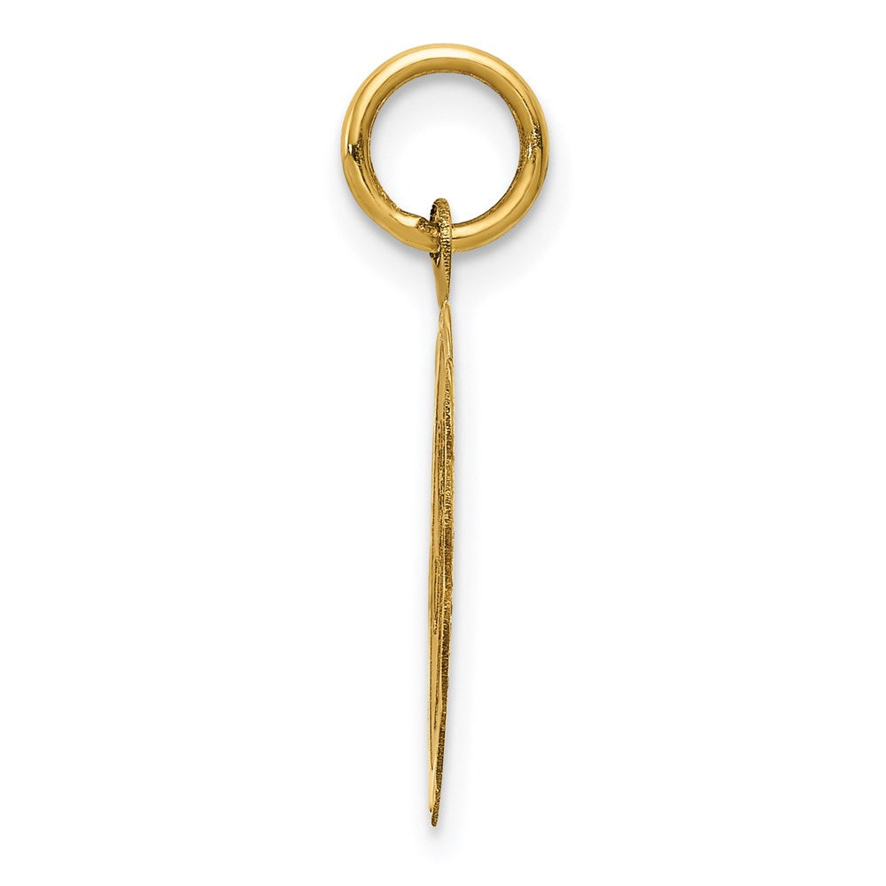 14K Gelbgold 14K Süß 16 Plättchen Charm