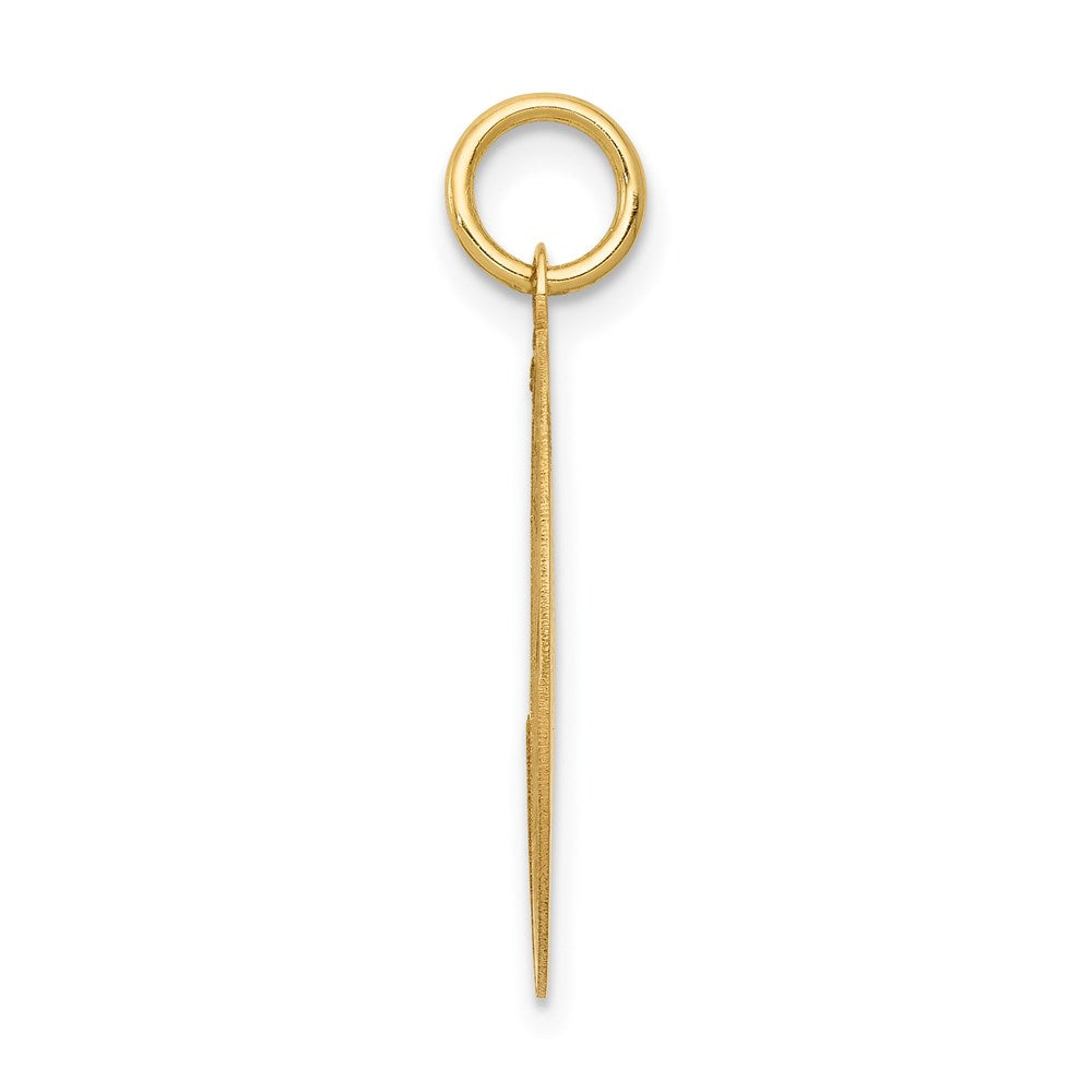 14K Gelbgold Labrador Retriever Scheiben-Charm