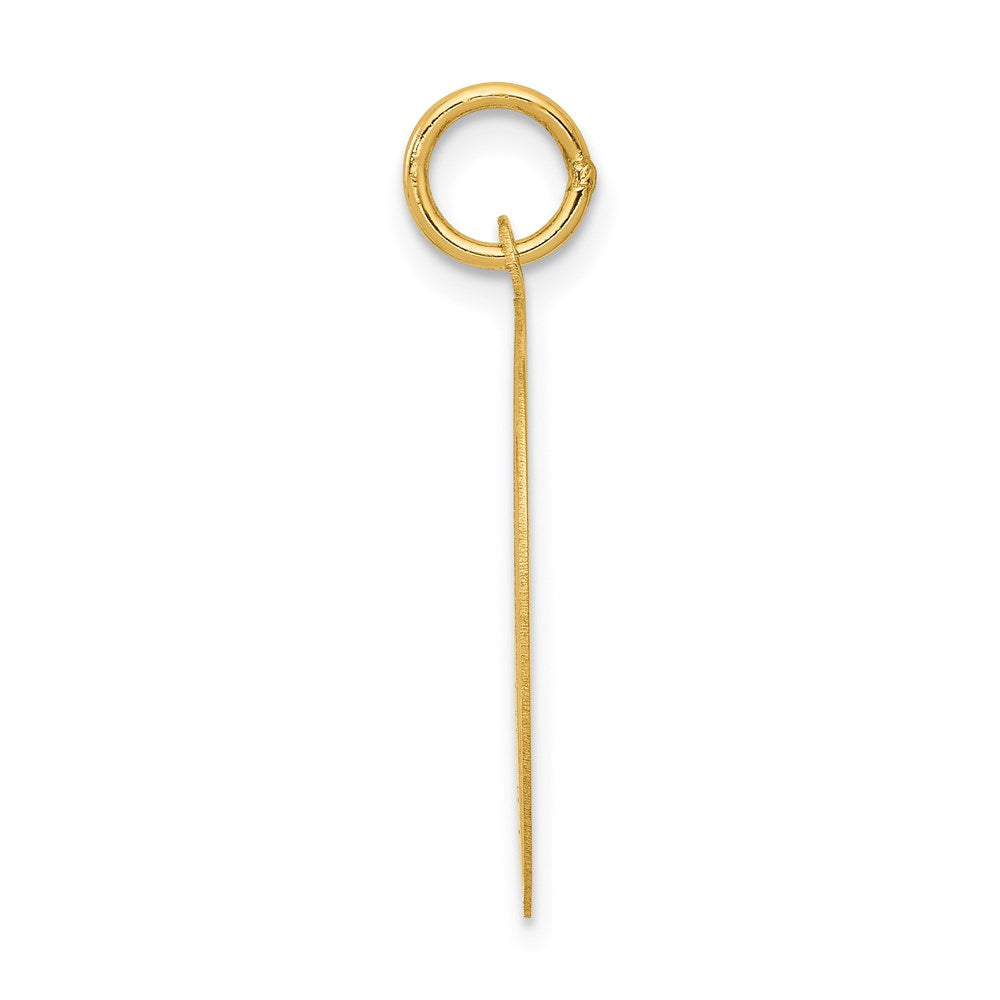 14K Gelbgold Shih Tzu Scheiben-Charm