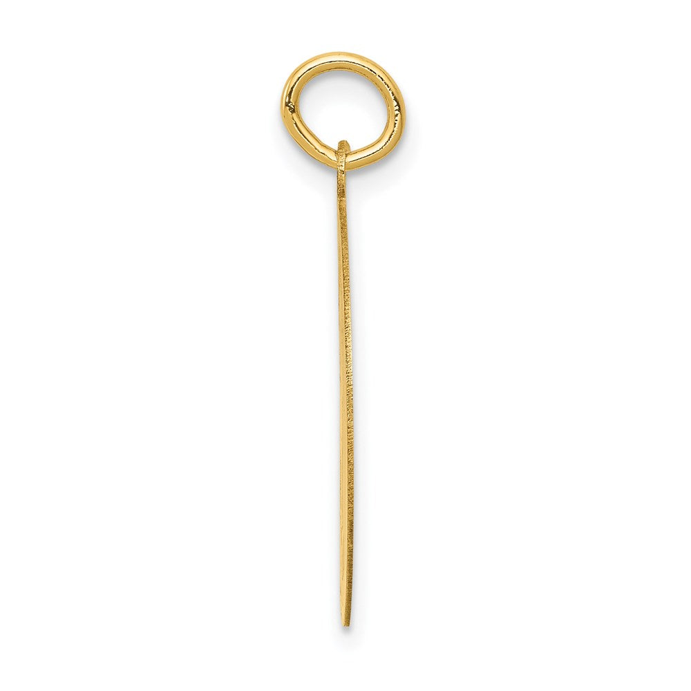 14K Gelbgold Sibirischer Husky Scheiben-Charm