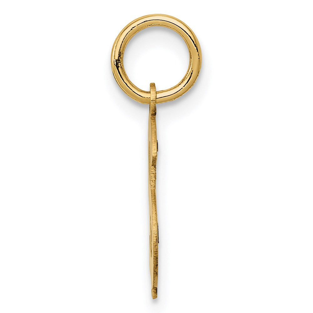 14K Gelbgold 14K Poliert Dollar Zeichen Charm
