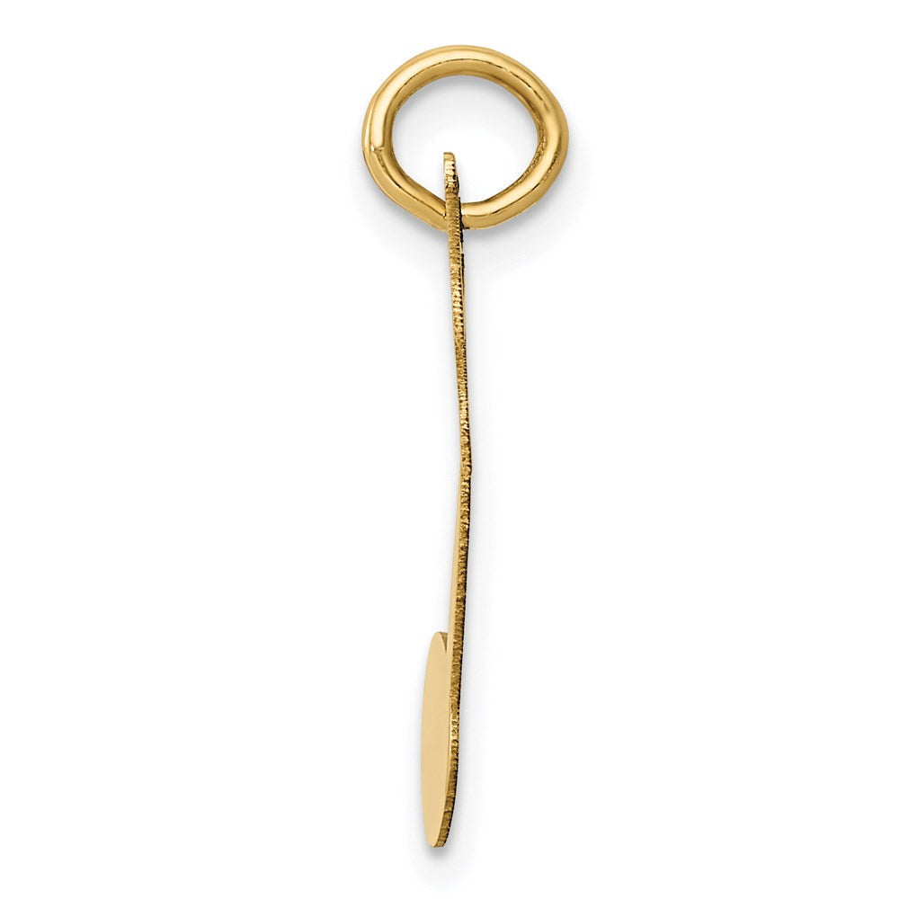 14K Gelbgold 14K Poliert Musical Note Charm