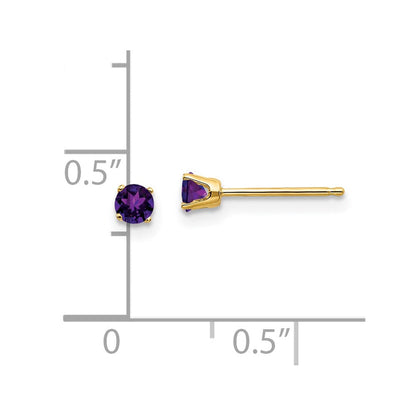 14K Gelbgold 3mm February/amethyst Ohrstecker