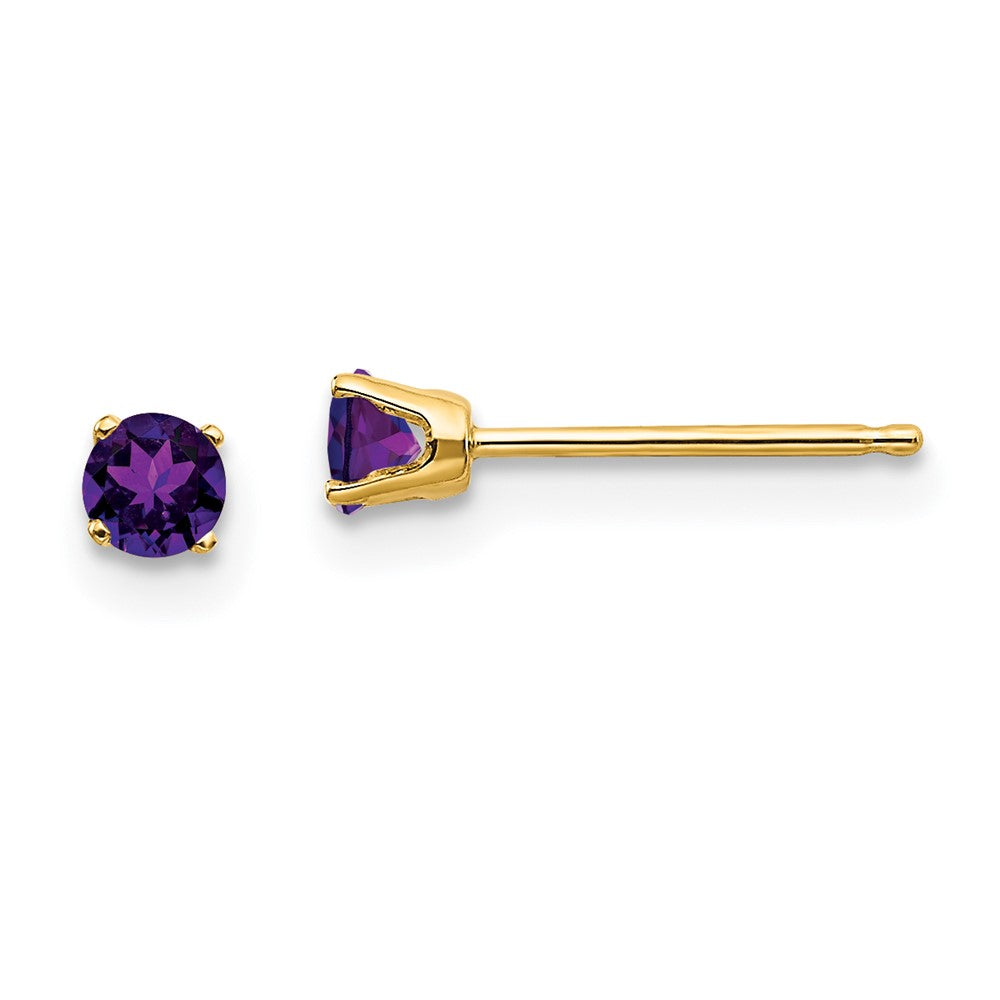 14K Gelbgold 3mm February/amethyst Ohrstecker