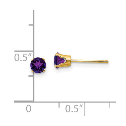 14K Gelbgold 4mm February/amethyst Ohrstecker