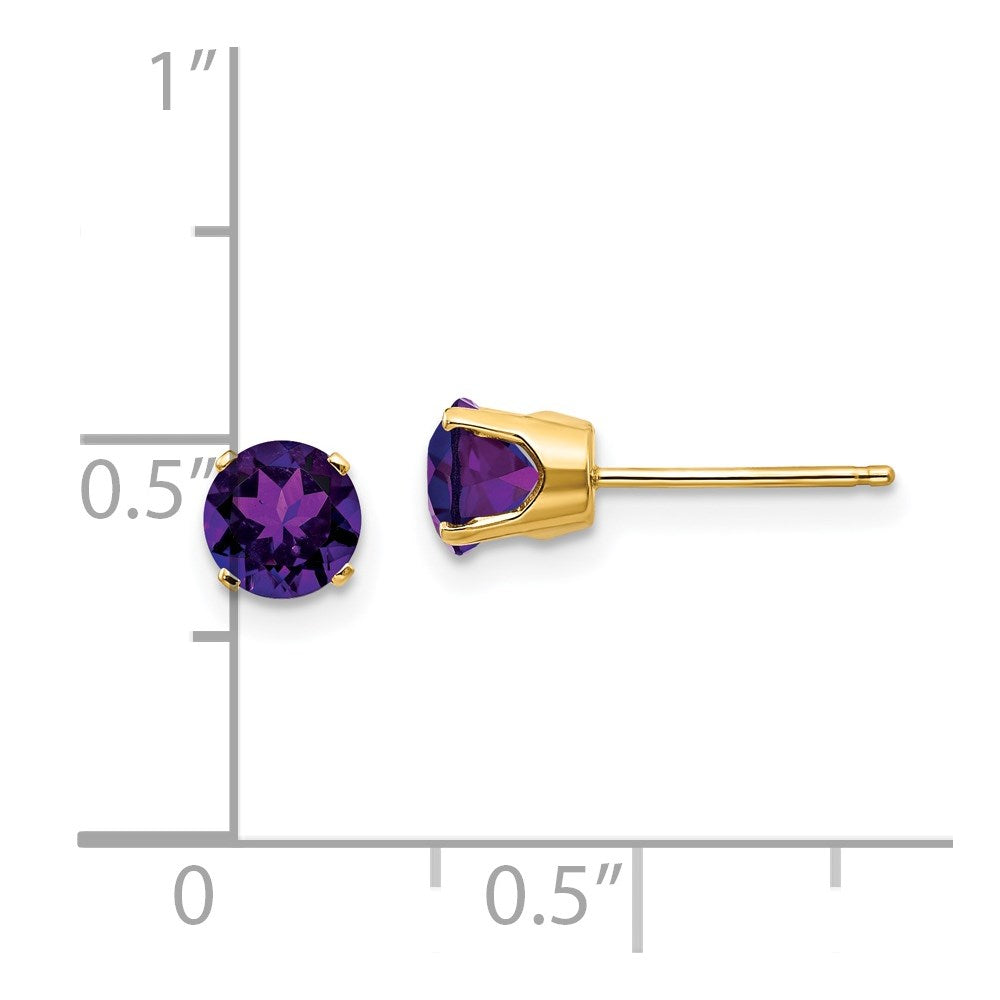 14K Gelbgold 5mm Amethyst Ohrringe February