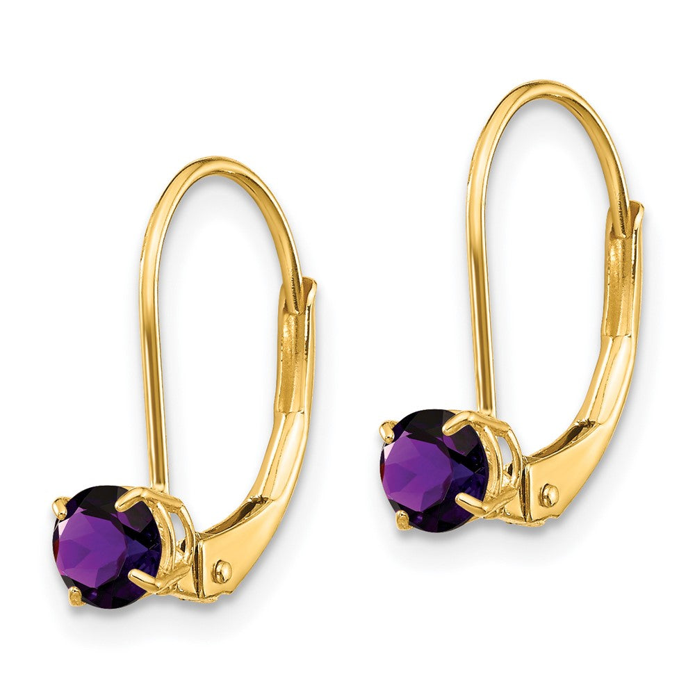14K Gelbgold Amethyst Ohrringe February