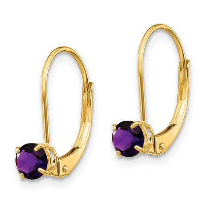 14K Gelbgold Amethyst Ohrringe February