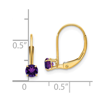 14K Gelbgold Amethyst Ohrringe February