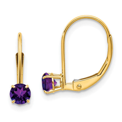 14K Gelbgold Amethyst Ohrringe February
