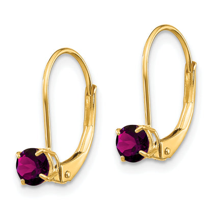 14K Gelbgold 4mm Rund June/rhodolite Ohrhänger mit Brisur