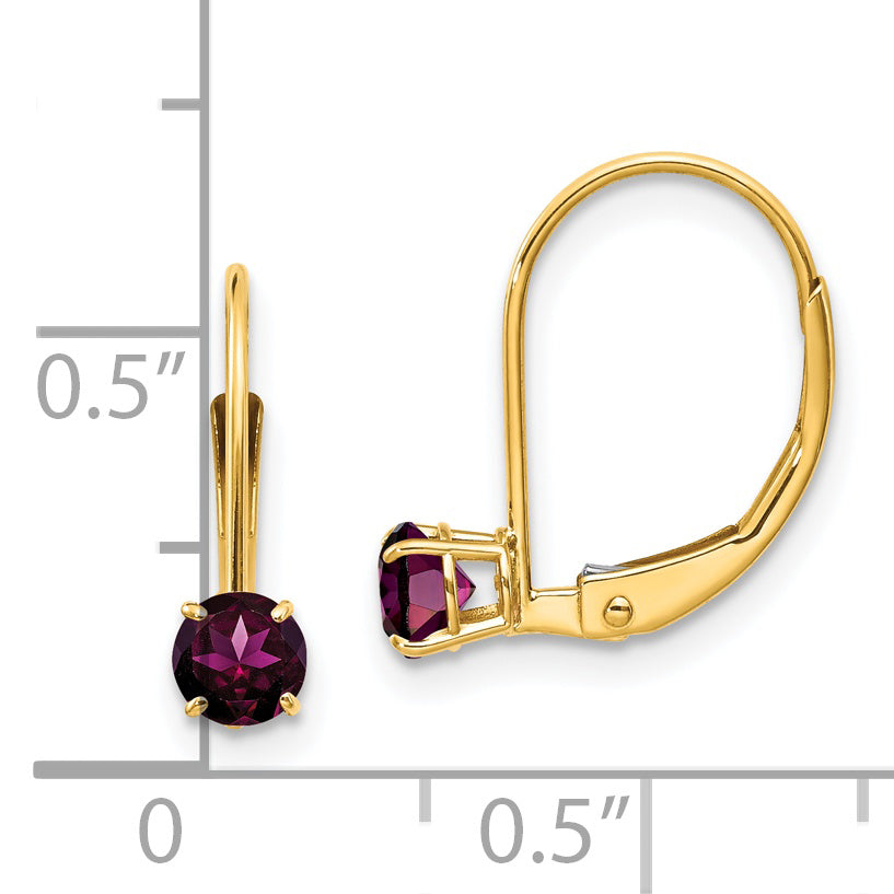 14K Gelbgold 4mm Rund June/rhodolite Ohrhänger mit Brisur