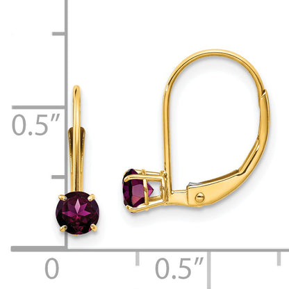 14K Gelbgold 4mm Rund June/rhodolite Ohrhänger mit Brisur