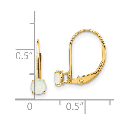 14K Gelbgold 4mm Rund October/opal Ohrhänger mit Brisur