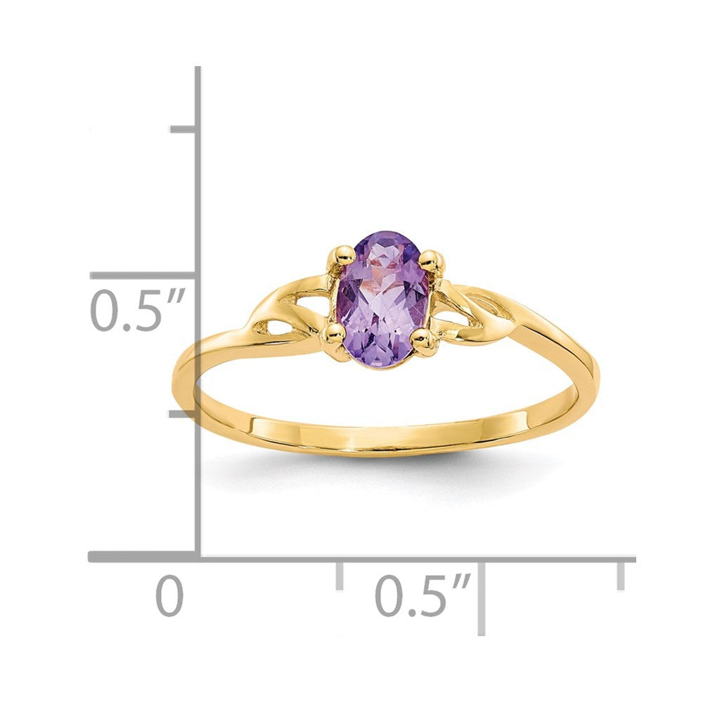14K Gelbgold Amethyst-Geburtsstein-Ring