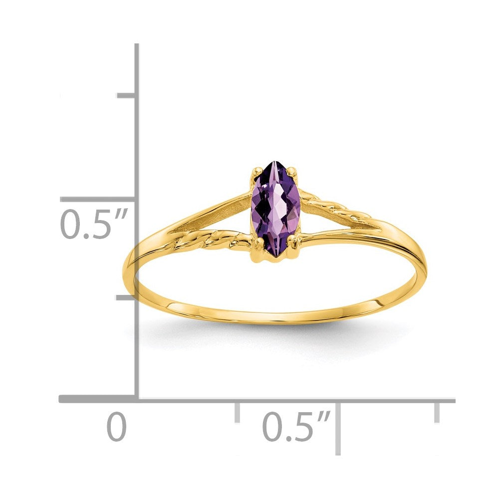 14K Gelbgold Amethyst-Geburtsstein-Ring