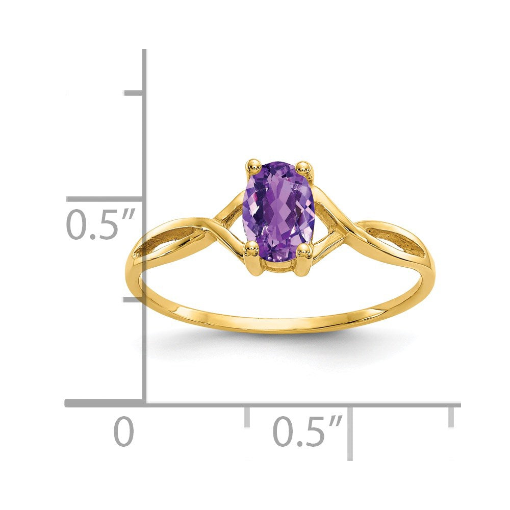 14K Gelbgold Amethyst-Geburtsstein-Ring